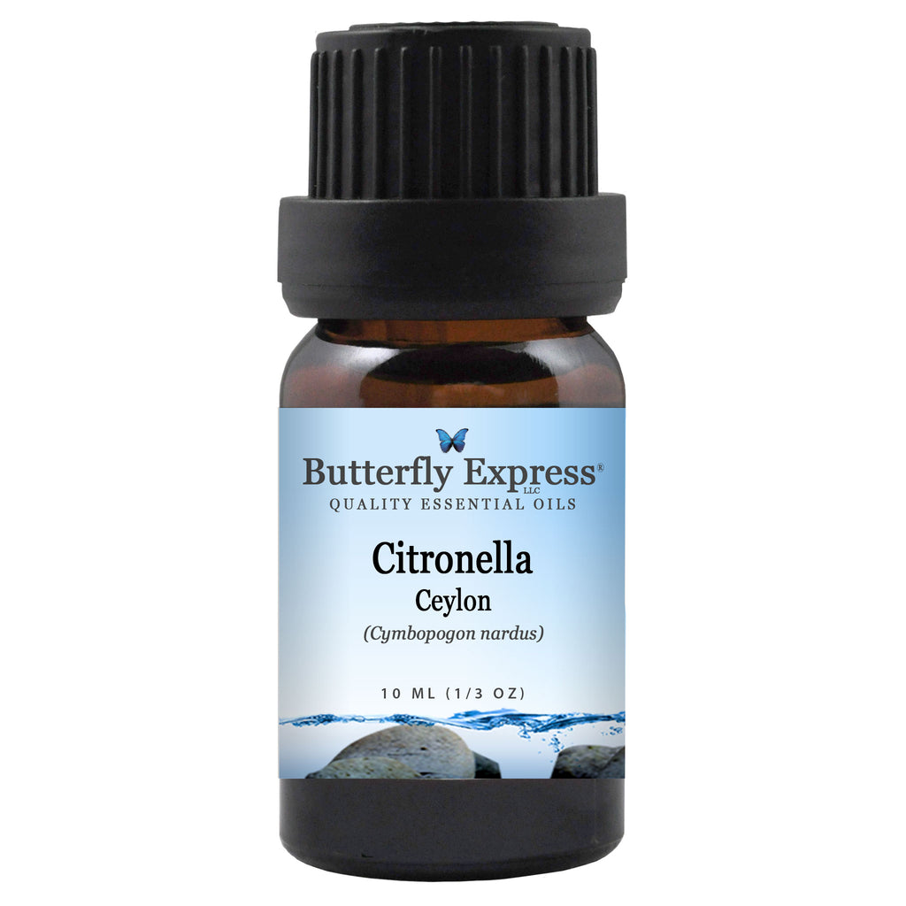 Citronella Ceylon Essential Oil  <h6>Cymbopogon nardus</h6>