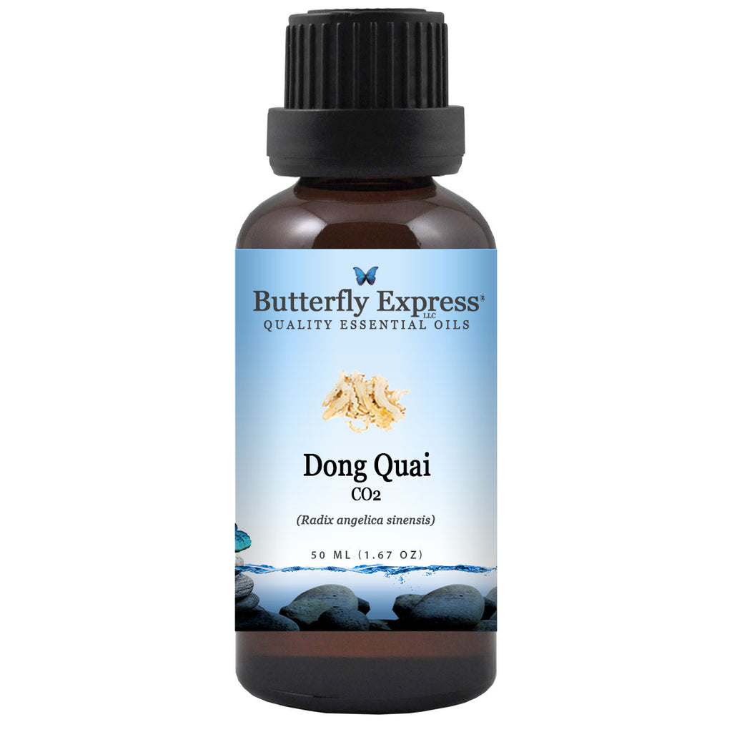 Dong Quai CO2 Essential Oil  <h6>Radix angelica sinensis</h6>