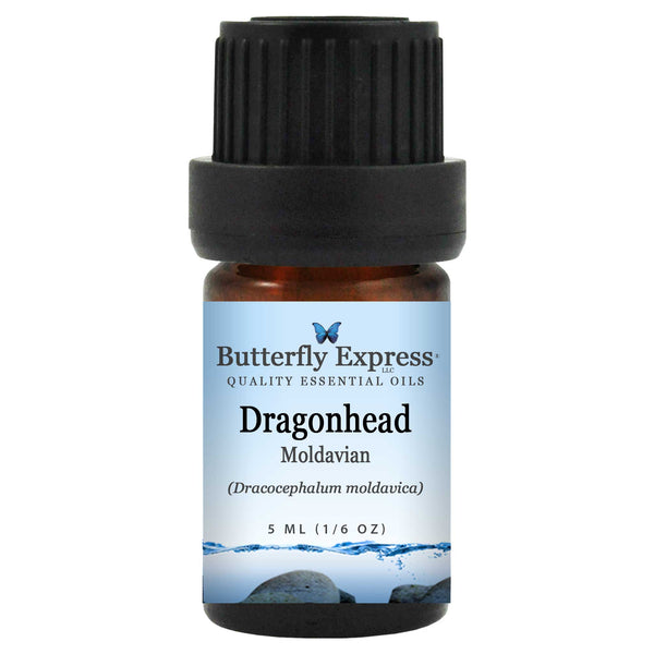 Dragonhead Essential Oil Wholesale  <h6>Dracocephalum moldavica</h6>