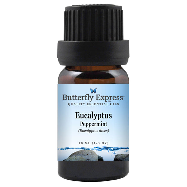 Eucalyptus Peppermint Essential Oil  <h6>Eucalyptus dives</h6>