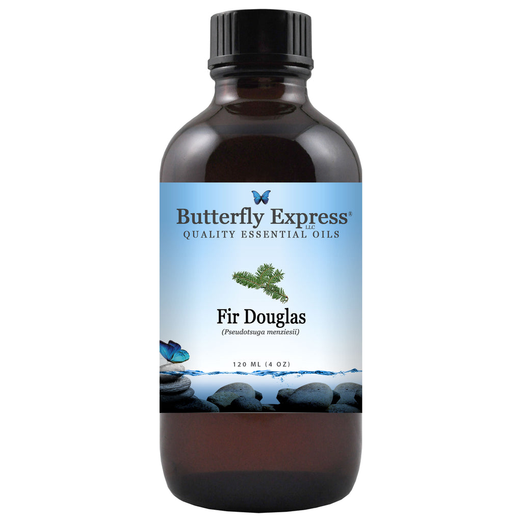 Fir Douglas Essential Oil  <h6>Pseudotsuga menziesii</h6>