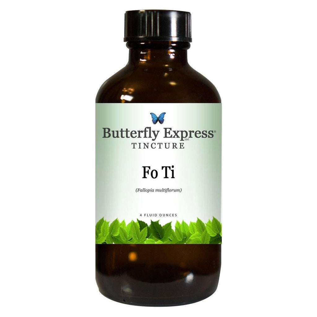 Fo Ti Tincture  <h6>Polygonum multiflorum</h6>