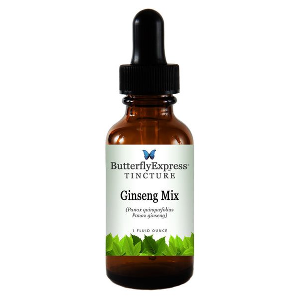 Ginseng Mix Tincture Wholesale  <h6>Panax ginseng/Panax quinquefolius</h6>