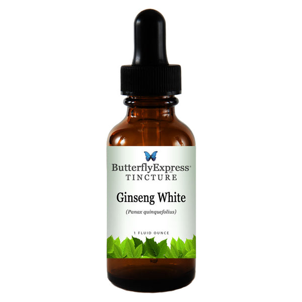 Ginseng White Tincture Wholesale  <h6>Panax quinquefolius</h6>