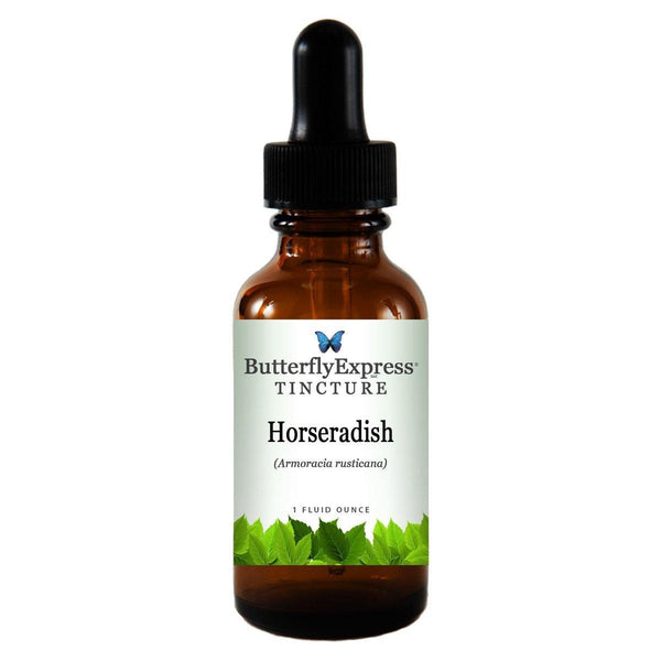 Horseradish Tincture Wholesale  <h6>Armoracia rusticana</h6>