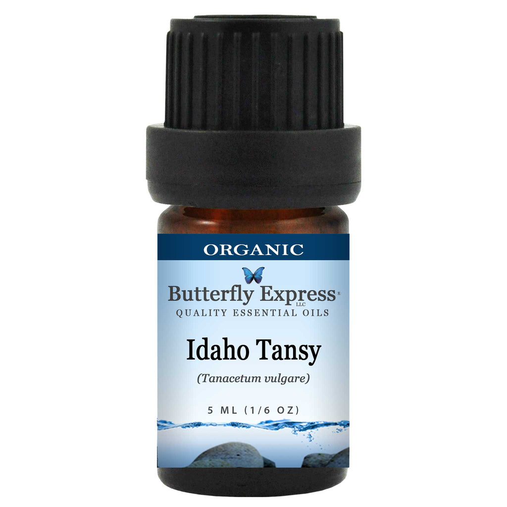 Idaho Tansy Organic Essential Oil  <h6>Tanacetum vulgare</h6>