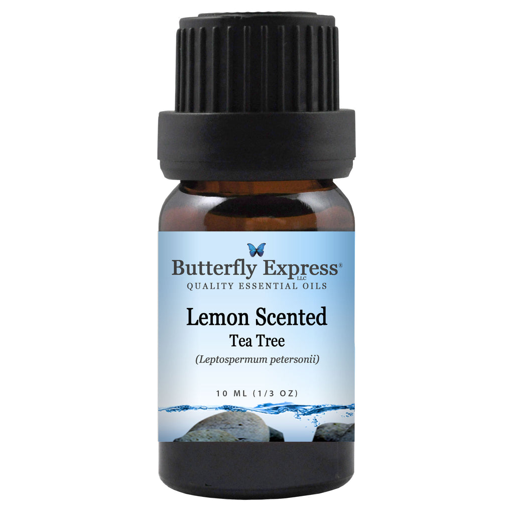 Lemon Scented Tea Tree Essential Oil  <h6>Leptospermum petersonii</h6>