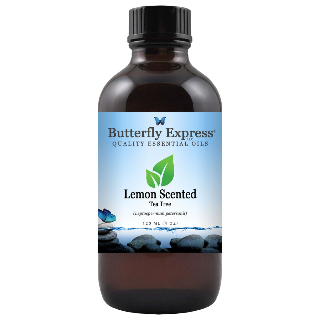 Lemon Scented Tea Tree Essential Oil  <h6>Leptospermum petersonii</h6>