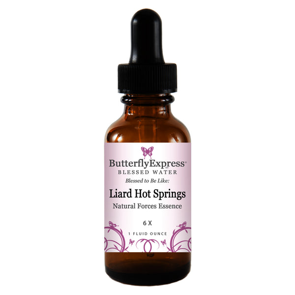 Liard Hot Springs Natural Forces Essence Wholesale