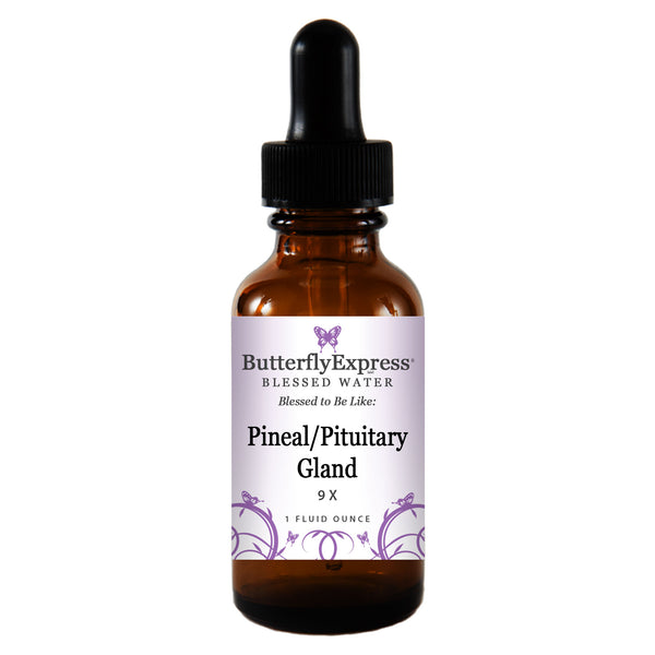 Pineal/Pituitary Glands Wholesale
