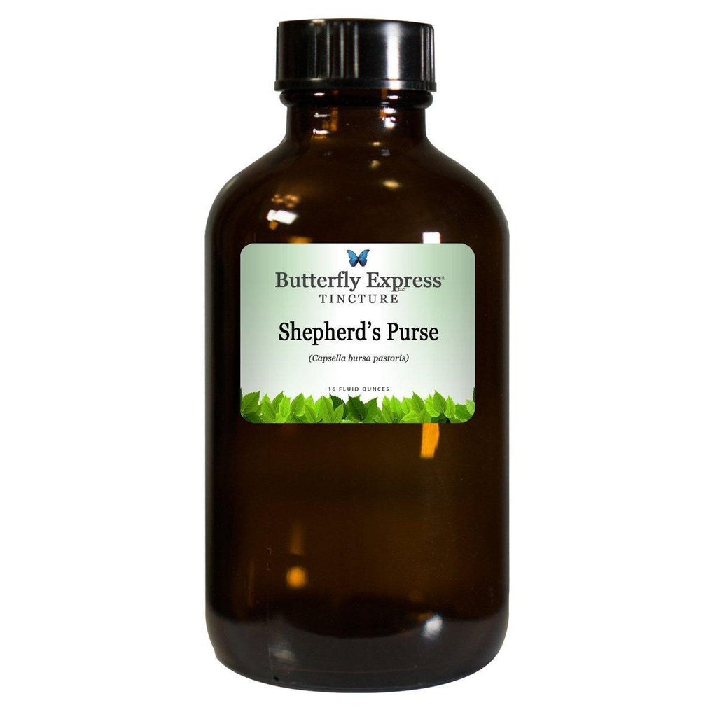 Shepherd's Purse Tincture  <h6>Capsella bursa pastoris</h6>