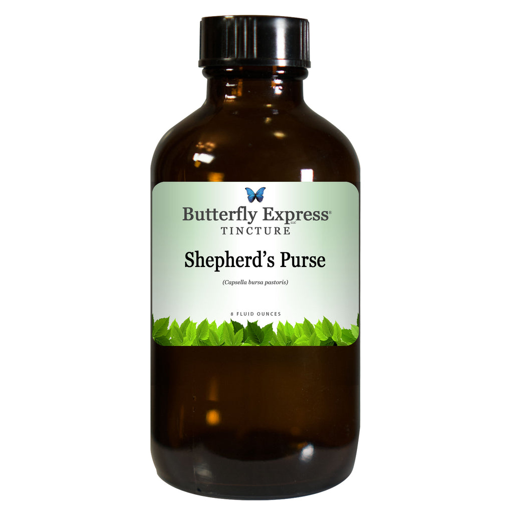 Shepherd's Purse Tincture  <h6>Capsella bursa pastoris</h6>