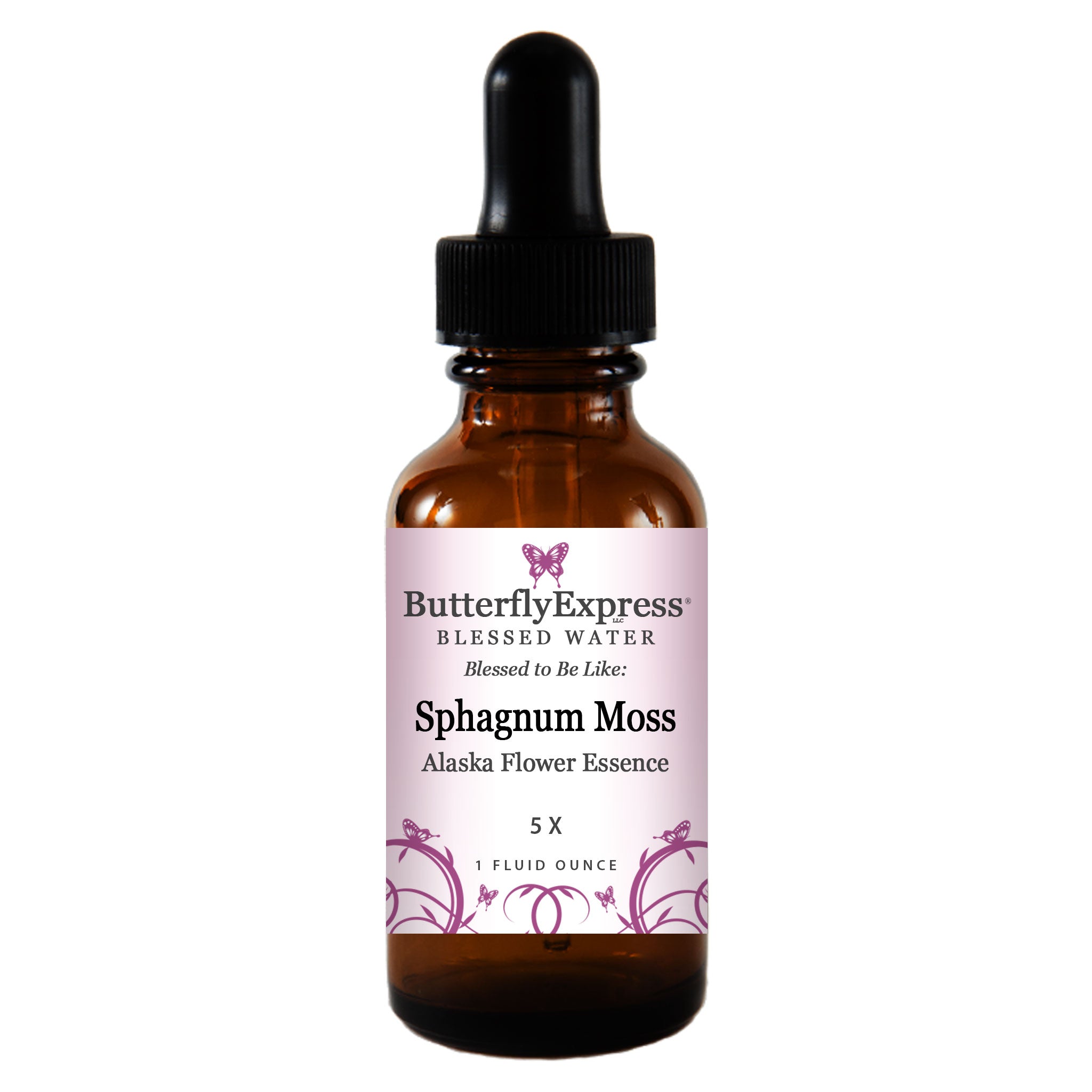 Sphagnum Moss - Sphagnum sp.
