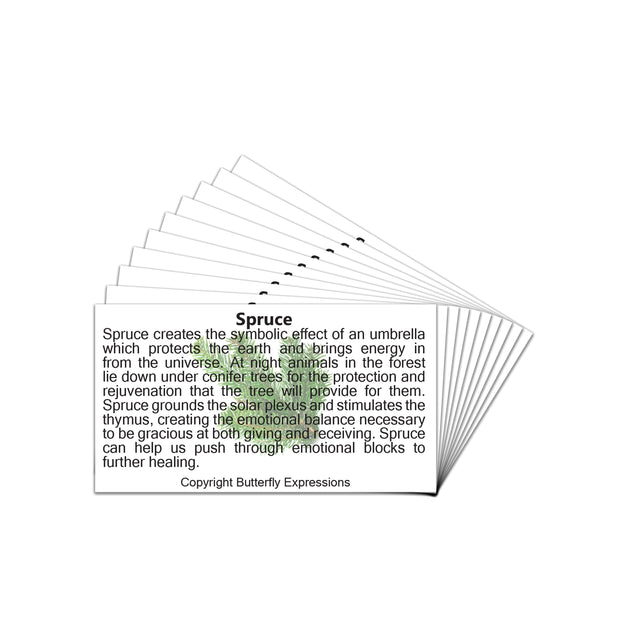 Spruce Picea Essential Oil Product Cards – Butterfly Express Quality ...