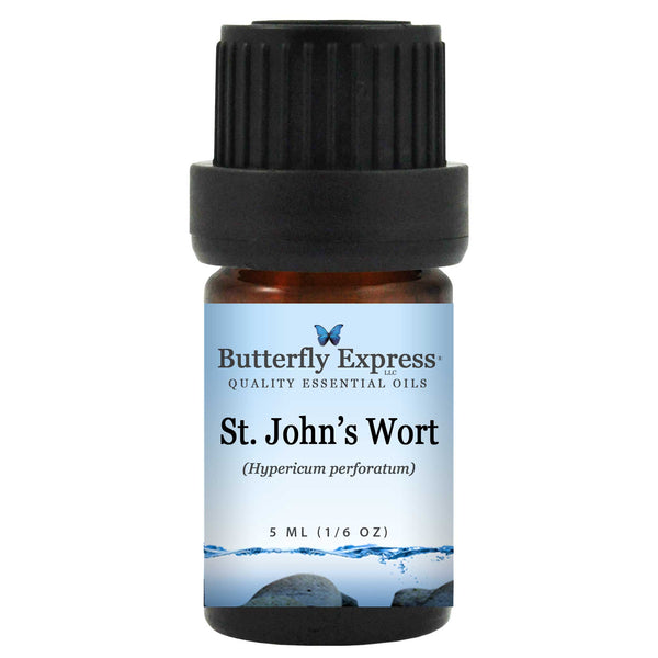 St. John's Wort Essential Oil Wholesale  <h6>Hypericum perforatum</h6>