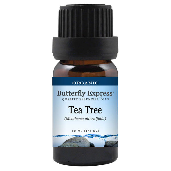 Tea Tree Organic Essential Oil Wholesale  <h6>Melaleuca alternifolia</h6>