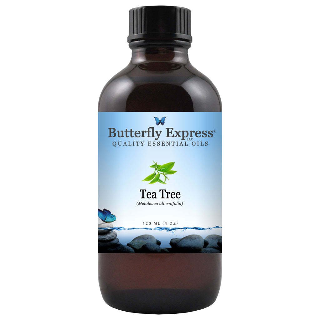 Tea Tree Essential Oil  <h6>Melaleuca alternifolia</h6>