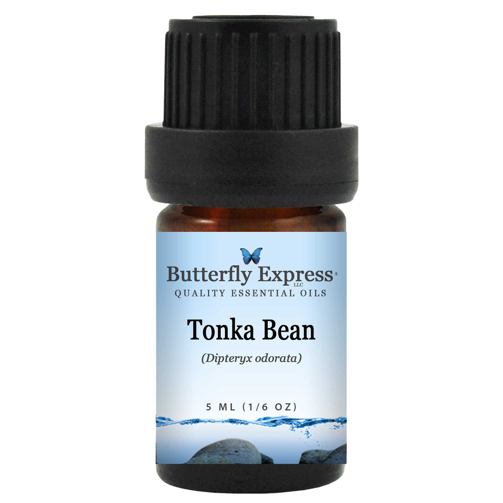 Tonka Bean Essential Oil  <h6>Dipteryx odorata</h6>