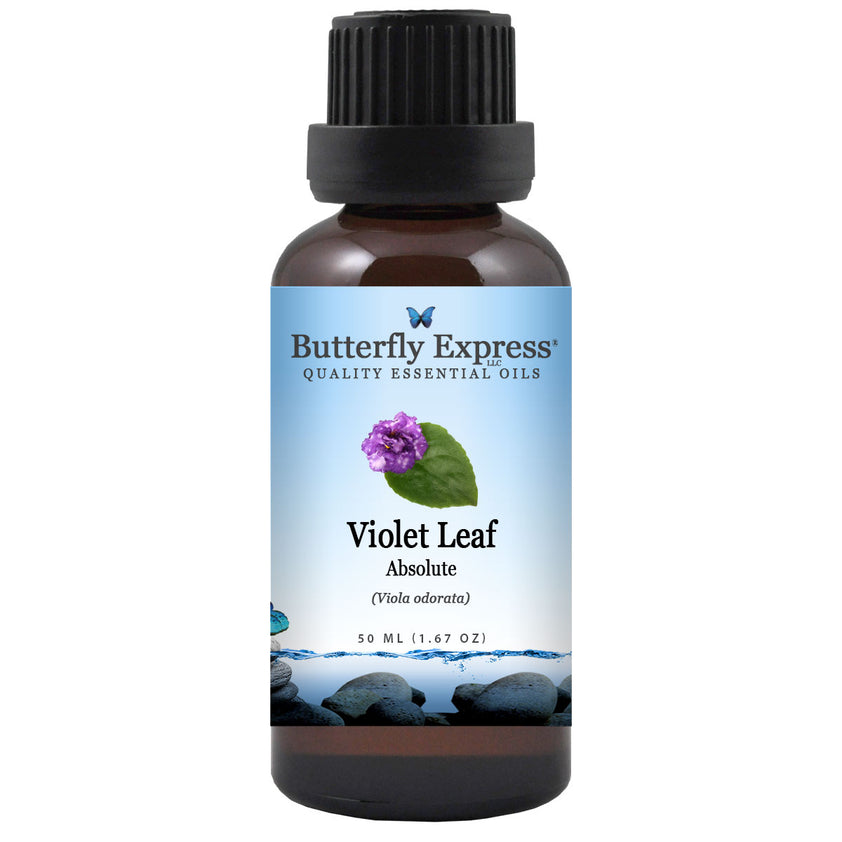 Violet Leaf Absolute Essential Oil