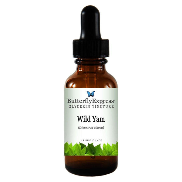 Wild Yam Glycerin Wholesale  <h6>Dioscorea villosa</h6>
