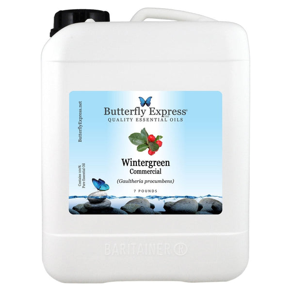 Wintergreen Commercial Essential Oil Gallon  <h6>Gaultheria procumbens</h6>