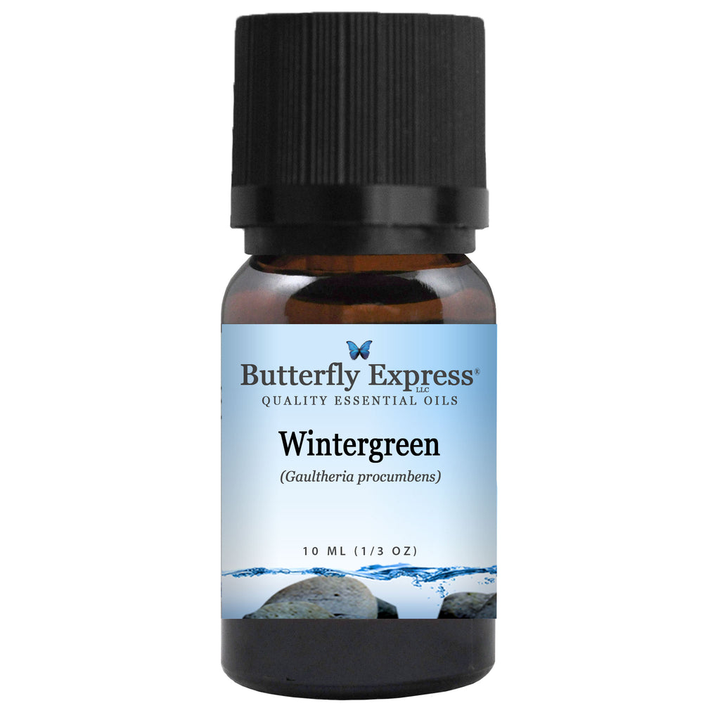 Wintergreen Essential Oil  <h6>Gaultheria procumbens</h6>
