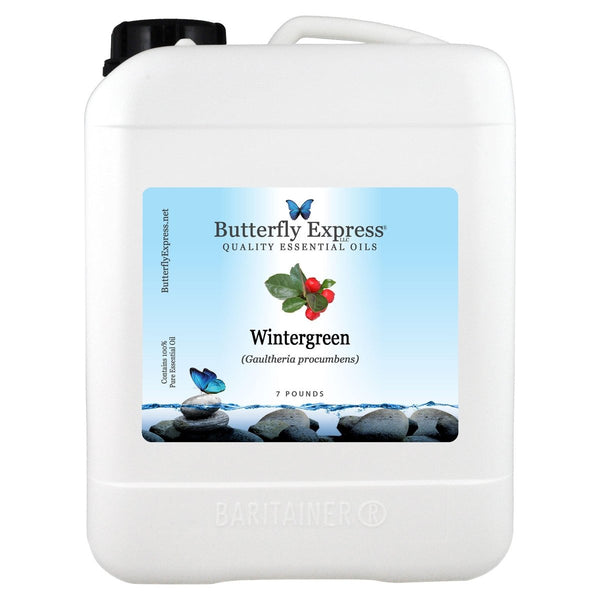 Wintergreen Essential Oil Gallon  <h6>Gaultheria procumbens</h6>